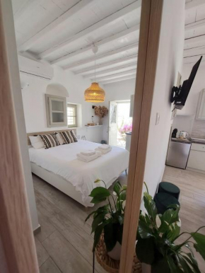 Genemi Suite 2